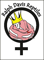 RDR Ladies' Gear Page