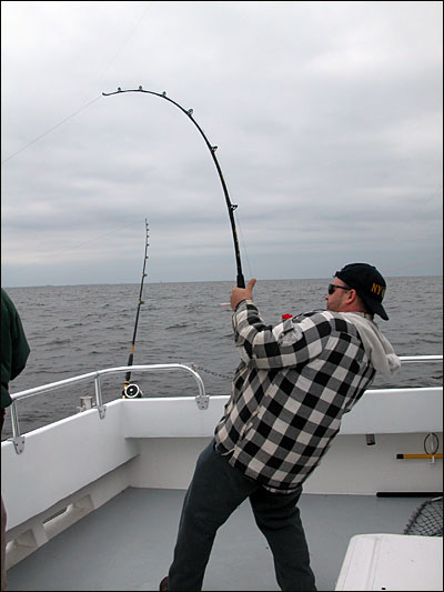 Ralphie has a rock fish on the line....:)