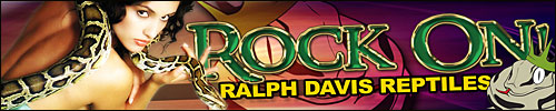 RDR Rules!!!