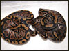 A pair of 2003 baby captive bred Granites