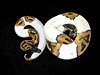 Piebald Ball Pythons