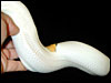 Piebald Ball Python