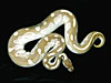 Original male Platinum Ball Python