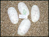 05 clutch # 65 - 4 eggs - from breeding a Jolliff Snow Ball male to a PDHS female