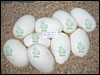05 clutch # 67 - 9 eggs - from breeding a Jungle Stripe female back to her "het" son