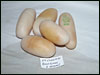 05 clutch # 90 - 5 SLUGS from breeding a Desert Lemon to a normal female........:(