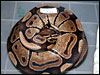 05 clutch # 57  with Mom 5/09/05