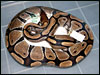 05 clutch # 65  with Mom 5/13/05