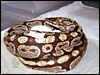 05 clutch # 80  with Mom 5/21/05