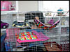 The ferret condo
