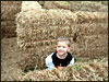 Gump in the "hay maze".........