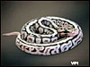 05 Super Spotnose by Dave and Tracy Barker of VPI