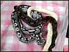 Steve's snake after it shed...........talk about some crazy stuff???