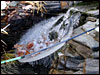 Ice on the screen I use to protect my pond in the fall