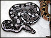 2004 VPI Axanthic male