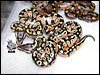 0.2 Pastel 66% poss het Ghost - 2006