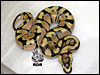 08 Enchi Pastel het Clown