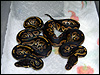 2010 Black Heads post shed