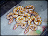 2010 Albinos