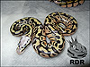 2012 Super Pastel het Clown