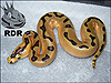 2012 Enchi Flat_Line Clown