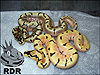 2013 Enchi Spider ( top ) 2013 B/R Tangerine Enchi Spider ( below )