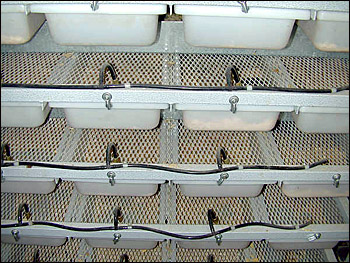 Mouse rack that we put birthing mom rats in......